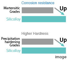 Well-balanced in hardness and corrosion resistance